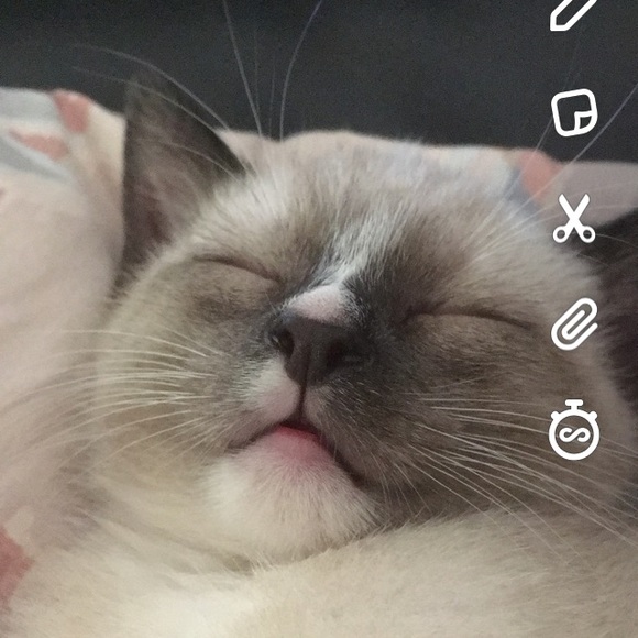 Meet your Posher, M - Picture 1 of 1